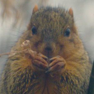 Made to order canvas prints or framed prints